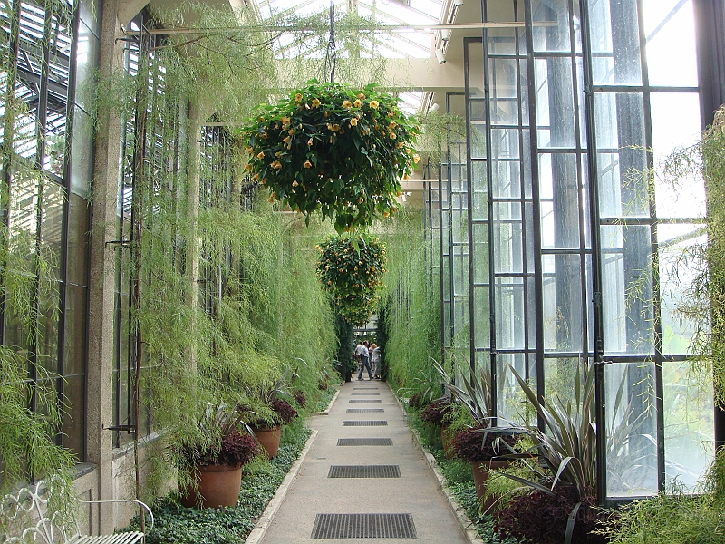 296 Longwood Gardens [2008 August 23].JPG - Longwood Gardens in Pennsylvania